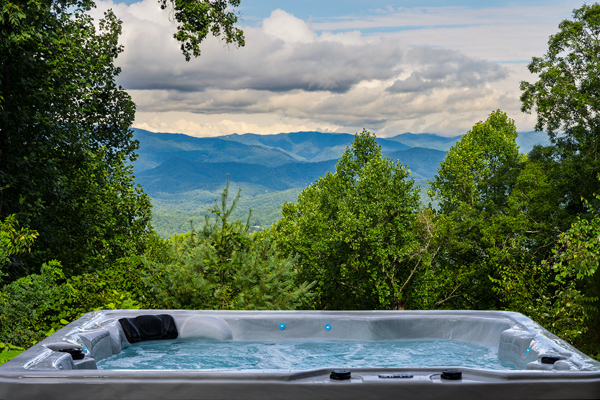 Above the Lake  cabin