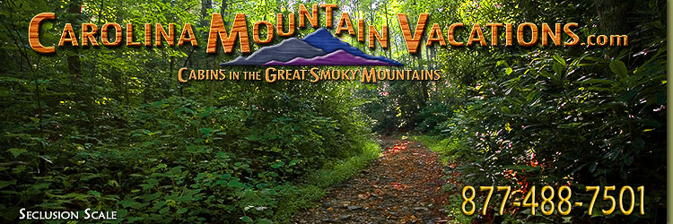 Rental Policies Info for Carolina Mountain Vacations